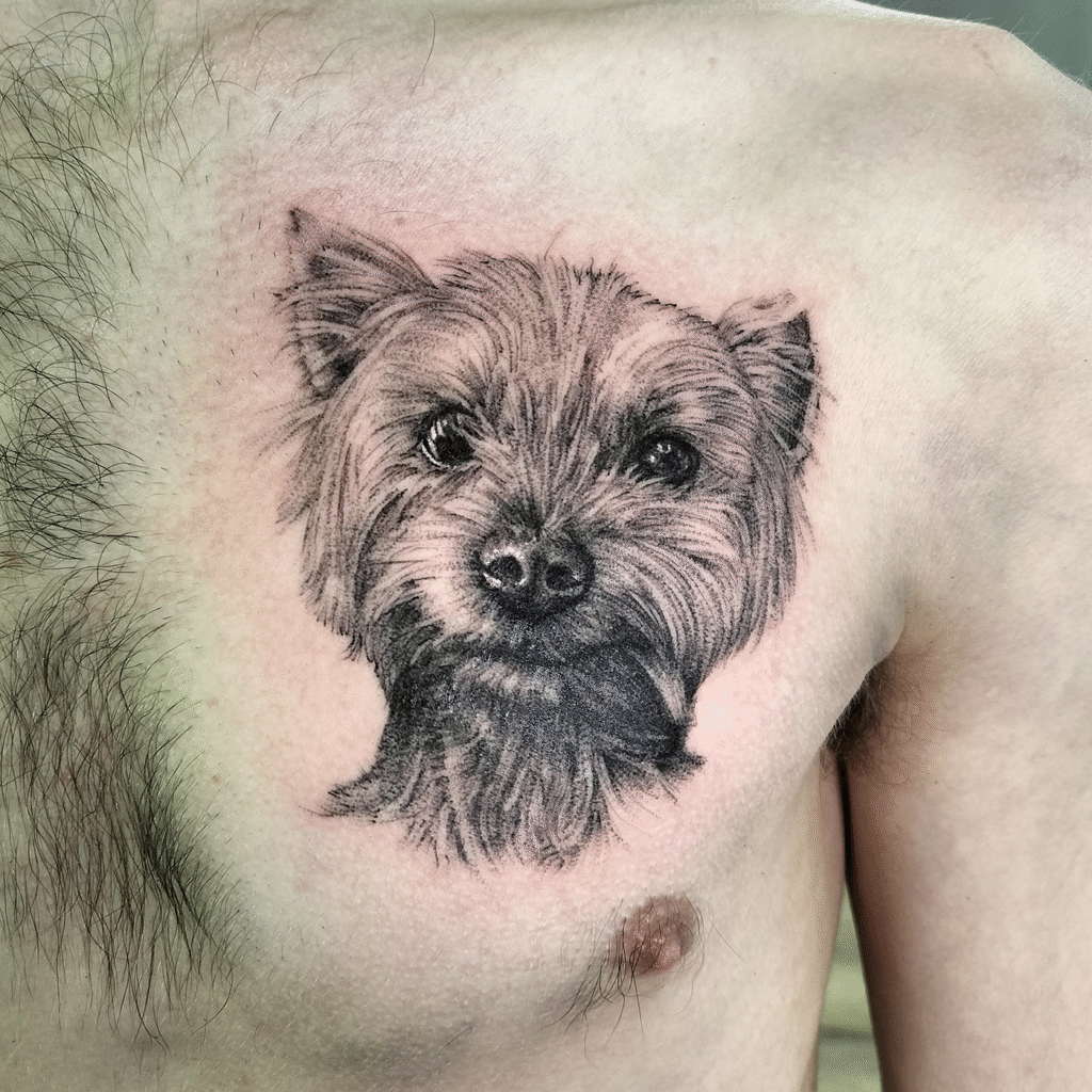 Rampart-Tatton_Tatuagens